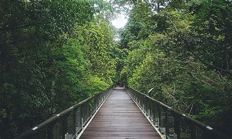 Taman Botani Putrajaya Ada Lebih 700 Spesis Tumbuhan Dunia