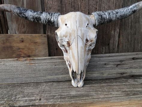 Faux LongHorn Skull/Faux Cow Skull/Faux Taxidermy/white longhorn/Faux ...