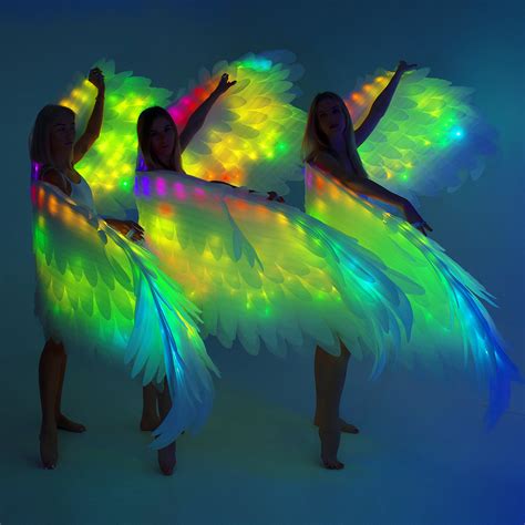 Fallen Angel Dance Costume