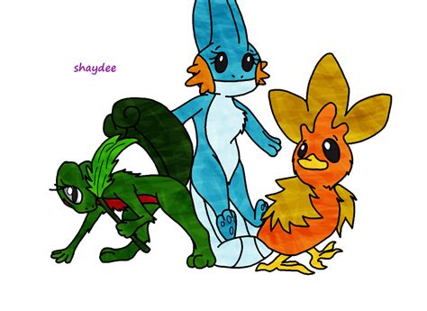 Gen 3 Starters by The-Real-Shaydee on DeviantArt