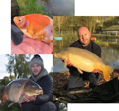 Exclusive Carp Fishing Lakes - Private Lake Holidays UK