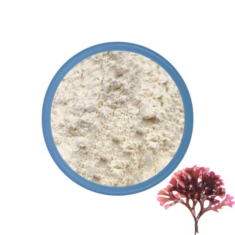 Organic Irish Sea Moss Powder Supplier - YanggeBiotech