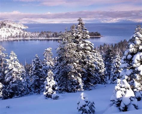 47 best Lake Tahoe Winter images on Pinterest | Adventure, Lake tahoe winter and Lake tahoe nevada