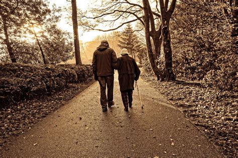 20 Outdoor Activities for Seniors: Fun & Safe Outings | Safer Senior Care