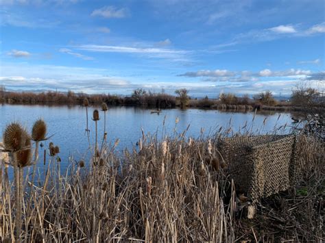 Denman Wildlife Area - Southern Oregon Waterfowl Hunting - Blind 9