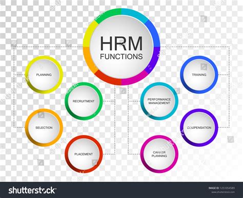 Vector Slide Template Circle Diagram Human Stock Vector (Royalty Free ...