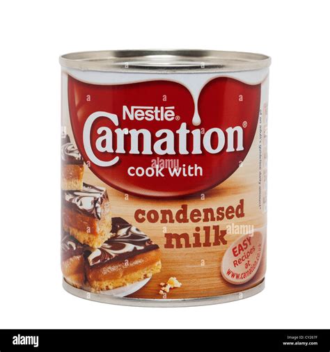 Carnation Condensed Milk Recipes Australia | Besto Blog