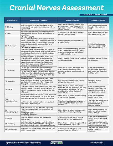 Cranial Nerves Chart & Assessment Cheat Sheet (2020) - Nurseslabs