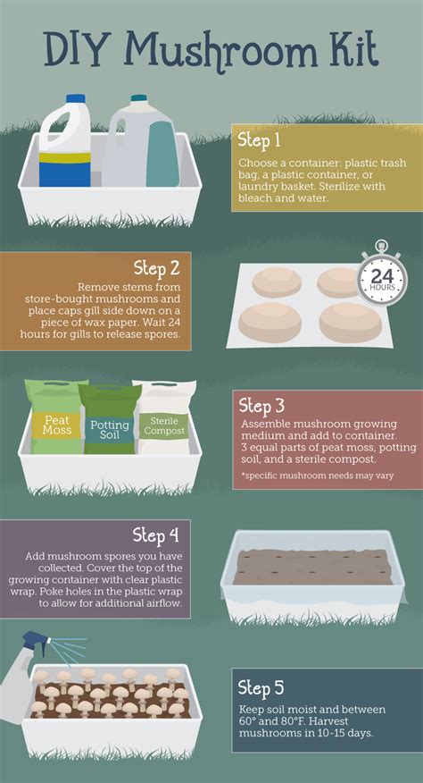 How to grow magic mushrooms at home without spores