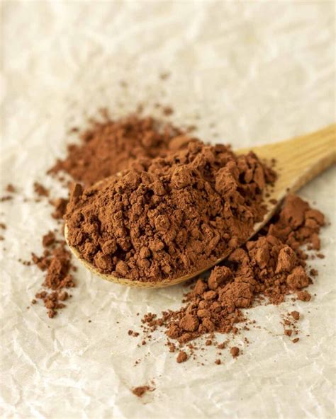 Is Cocoa Powder Vegan? (What You NEED to Know) - Delightful Adventures