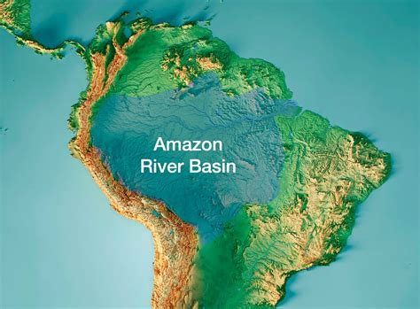 Amazon Rainforest Plants, Animals, Climate, Deforestation, 60% OFF