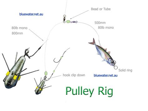 5 Best Surf Fishing Rigs - [Useful Guides, Tips, & How-Tos]