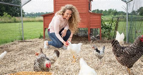 How to Start Raising Chickens:4 Important Steps