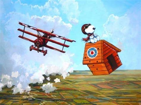 Pin by John Stein on Aviation Art | Flying ace snoopy, Snoopy pictures, Snoopy christmas images