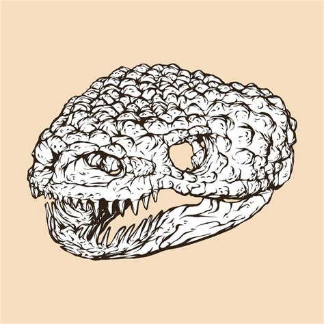 gila monster skull head vector illustration 12761826 Vector Art at Vecteezy