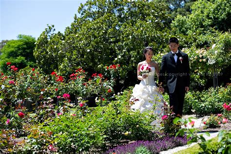 15 Rose Garden Weddings | Romantic Ideas In Life