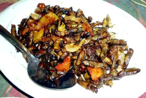 Adobong Kamaru (Sauté Rice Field Crickets) – Filipino Dishes and Recipes