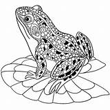 Printable Frog Coloring Pages sketch template