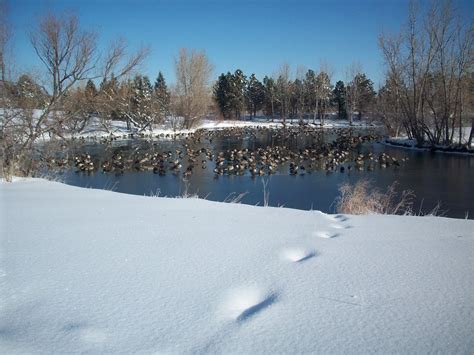 Outside (The Arena) Looking In: Denver snow pics