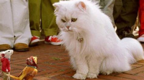 50 Greatest Movie Cats | Stuart little, Best cartoon shows, Cats