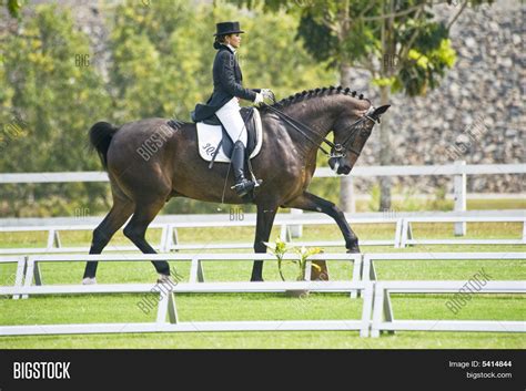 Equestrian Dressage Stock Photo & Stock Images | Bigstock