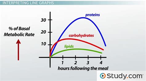 How to Read Scientific Graphs & Charts - Video & Lesson Transcript ...