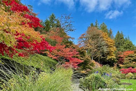 Road Trip On Vancouver Island In The Fall - Retired And Travelling