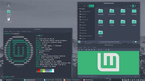 [Cinnamon] Linux Mint, but actually mint. : r/unixporn