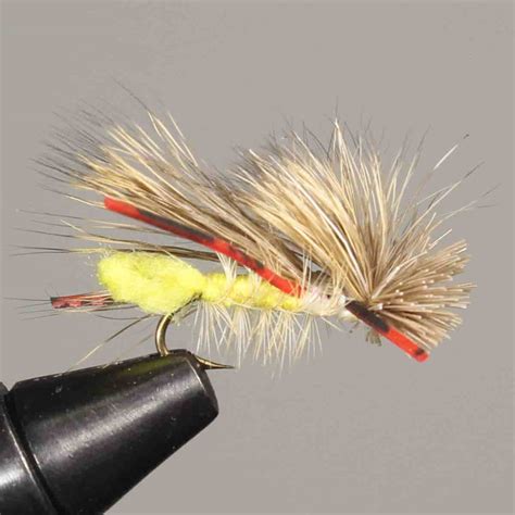 15 Best Flies for Rainbow Trout (with videos to setup) - Guide Recommended