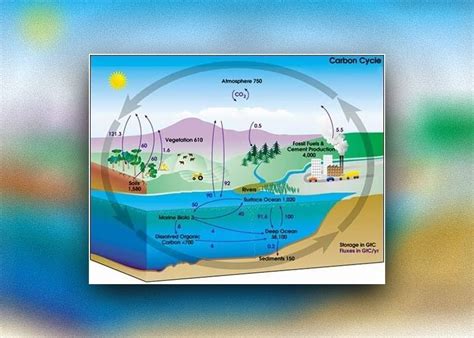 Keeling Curve Archives - CLIMATE CHANGE THE FACTS