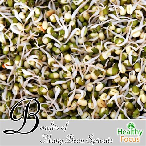 Benefits of Mung Bean Sprouts - Healthy Focus