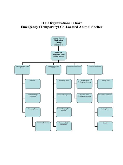 ICS Organizational Chart - 5 Free Templates in PDF, Word, Excel Download