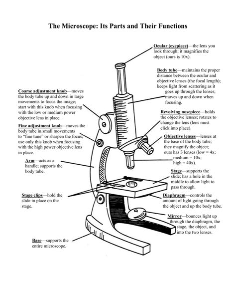 Parts Of The Microscope Worksheet