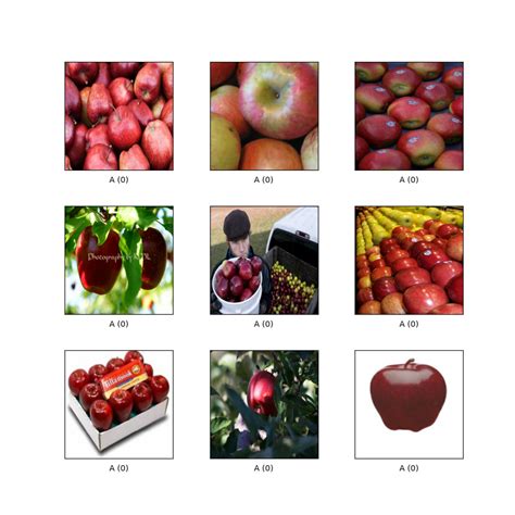 cycle_gan | TensorFlow Datasets