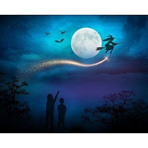 Halloween Night Silhouette Digital Backdrop (16×20) – Squijoo.com