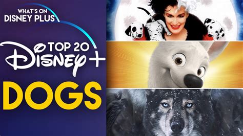 Top 20 “Dog” Movies & Shows Available On Disney+ – What's On Disney Plus