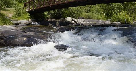 Best Camping in and Near Rushing River Provincial Park