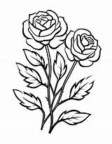 Free Rose Coloring Pages For Kids And Adults To Enjoy  Skip My Lou sketch template