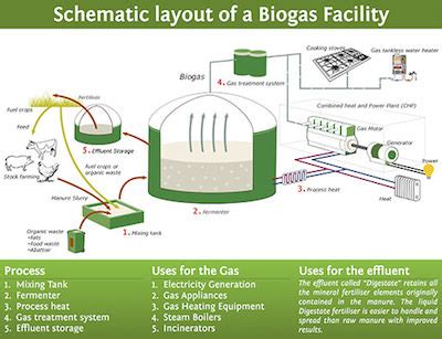 Biogas Production Diagram