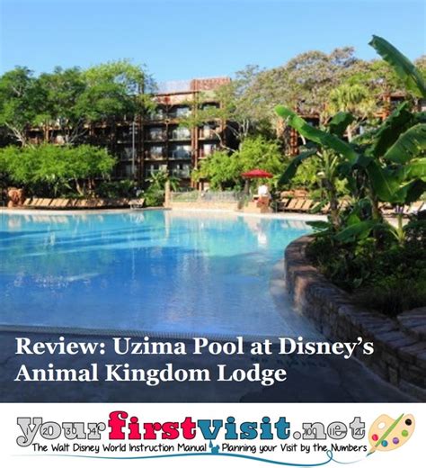 The Uzima Springs Pool at Disney's Animal Kingdom Lodge - yourfirstvisit.net