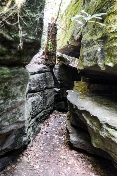 Off-The-Beaten Path: Deep Creek Hiking Trails | Railey Vacations