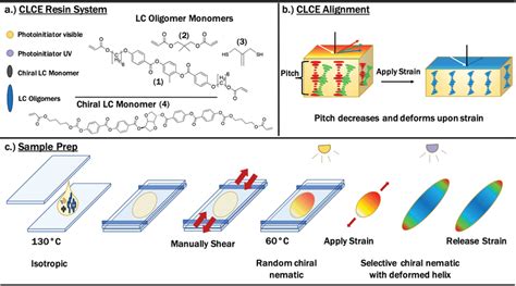 a) Monomers used to prepare the CLCE: (1) RM82, (2) NPGDA, and (3)... | Download Scientific Diagram