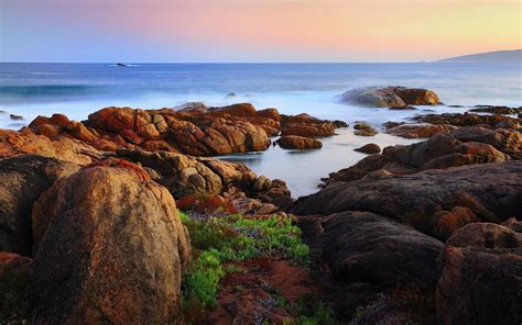 Rocky shores