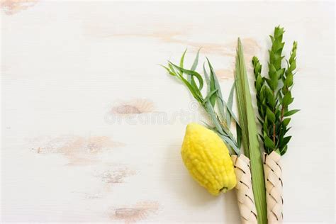 Jewish Festival of Sukkot. Traditional Symbols (the Four Species) Stock Photo - Image of green ...