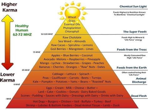 Sunny Pineal on Twitter | Food, Healthy aging, Food is fuel