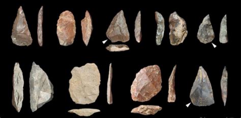 Incredible – Lower Paleolithic Tools dated to 700,000 years ago ...