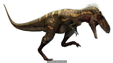 Meet Nanotyrannus, the dinosaur that never really existed | Dinosaur ...