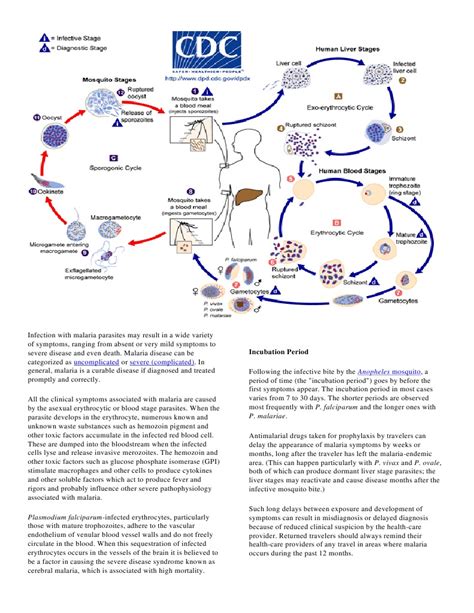 Malaria Symptoms | Malaria | Plasmodium Falciparum