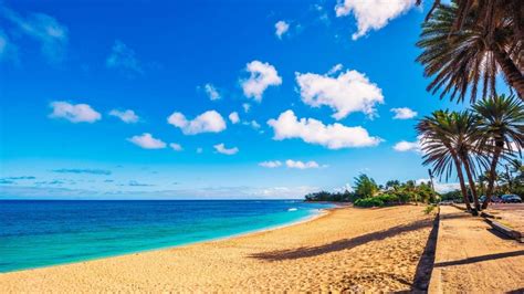 Sunset Beach Oahu: Your Ultimate Guide for Paradise