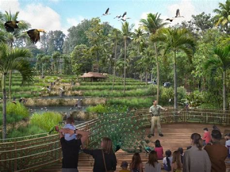 Singapore's new bird park featuring over 400 species set to open in Mandai in Q2 2023 ...